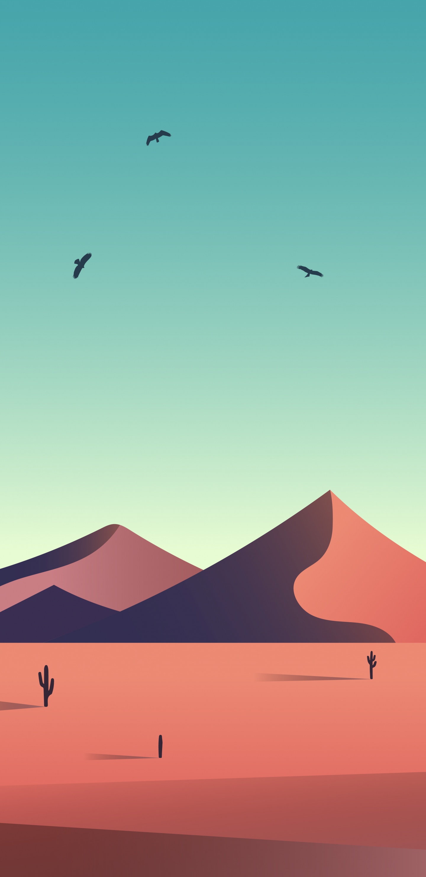 Обои экорегион, птица, склон, эрг, пейзаж в разрешении 1440x2960