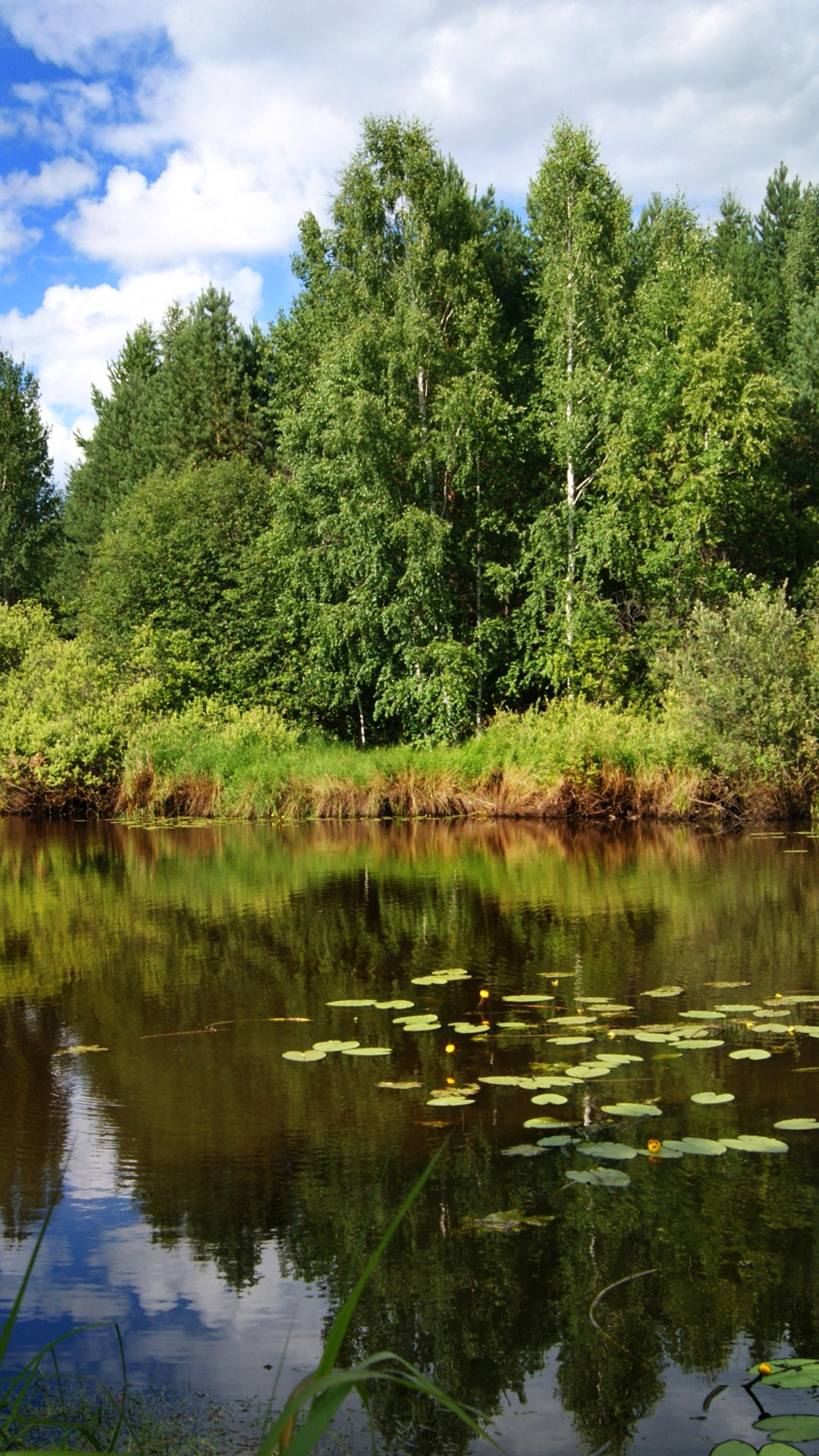 Обои реки, природа, озеро, отражение, вода в разрешении 1080x1920