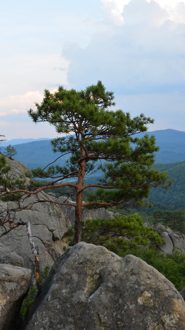 Обои дикая местность, горный рельеф, гора, горная станция, хребет в разрешении 750x1334