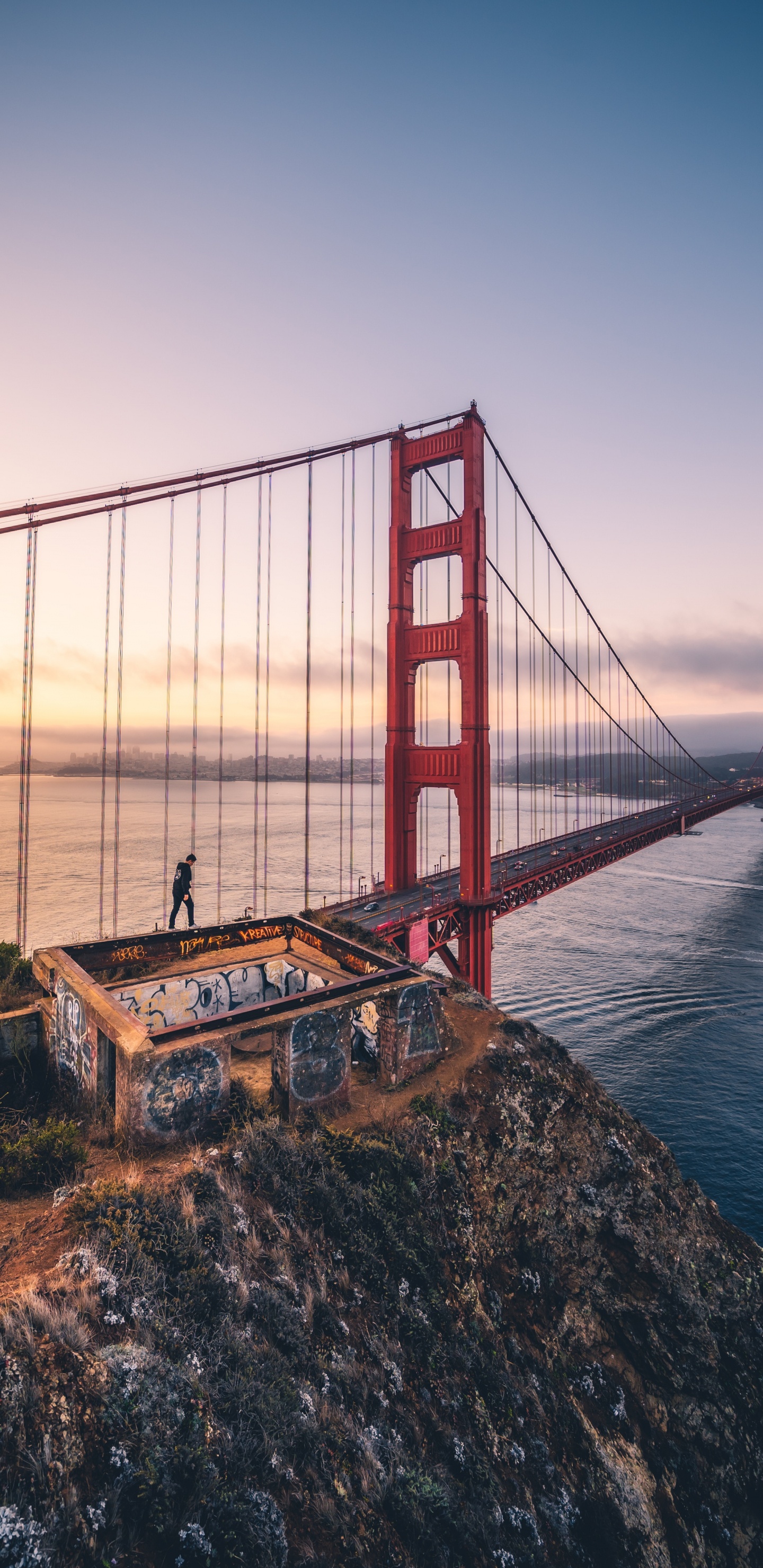 Обои мост Golden Gate, подвесной мост, вода, мост, море в разрешении 1440x2960