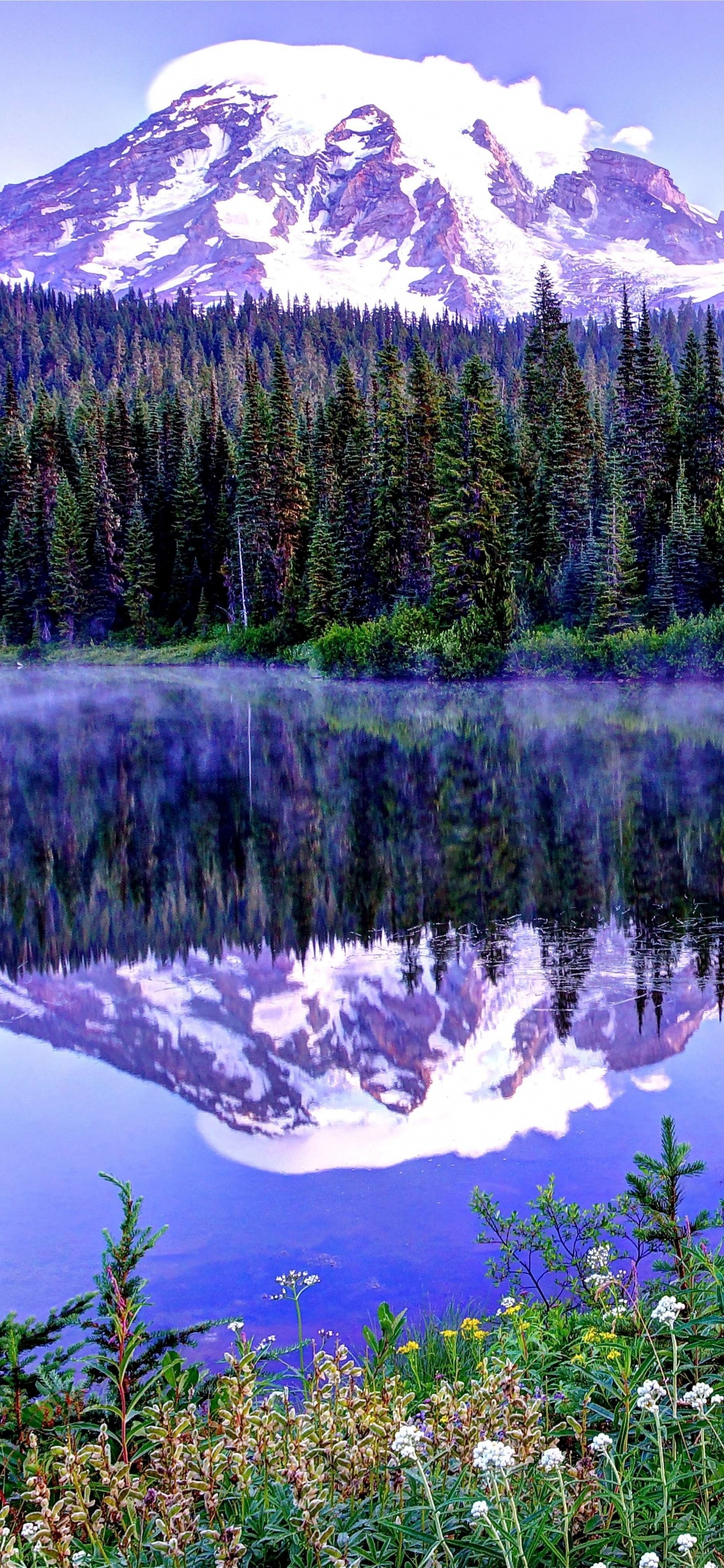 Обои Маунт рейнир, Сиэтл, озеро, гора, национальный парк в разрешении 1125x2436