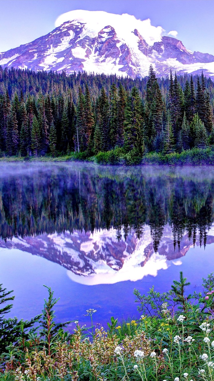 Обои Маунт рейнир, Сиэтл, озеро, гора, национальный парк в разрешении 720x1280