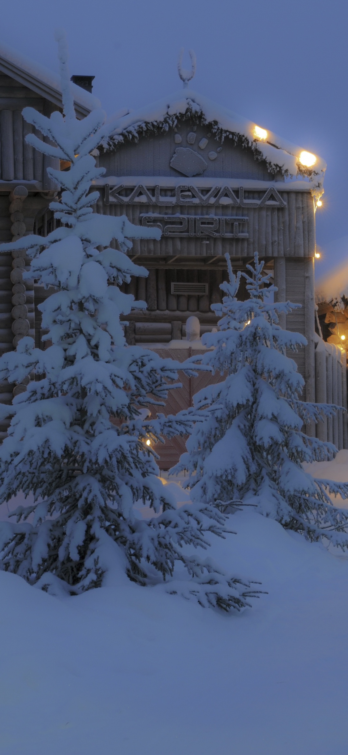 Обои снег, зима, замораживание, родина, дерево в разрешении 1125x2436