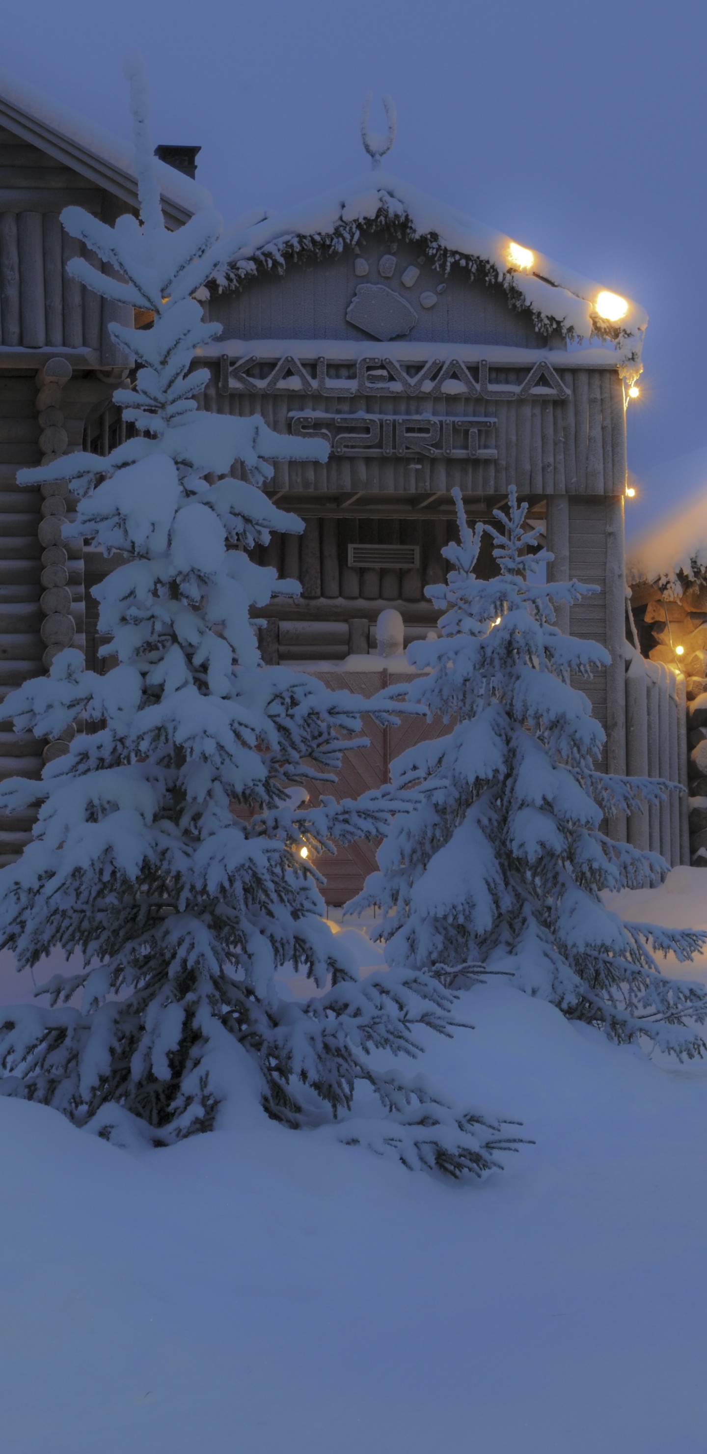 Обои снег, зима, замораживание, родина, дерево в разрешении 1440x2960