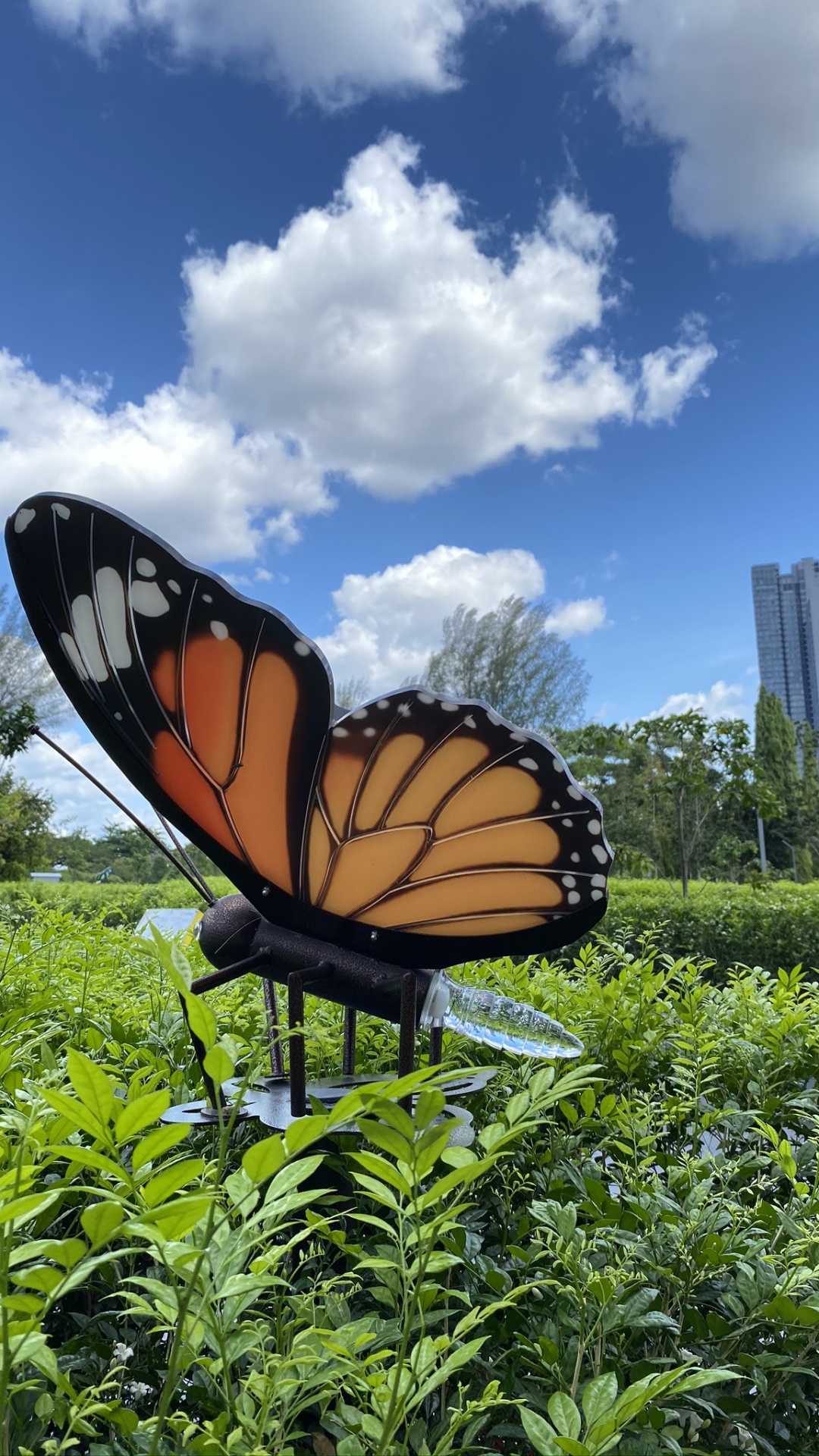 Обои экосистема, бабочкамонарх, лист, растительность, природа в разрешении 1080x1920