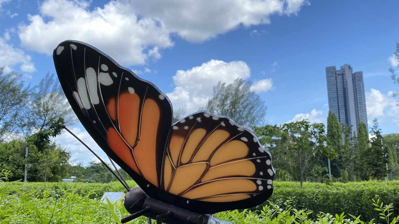 Обои экосистема, бабочкамонарх, лист, растительность, природа в разрешении 1366x768