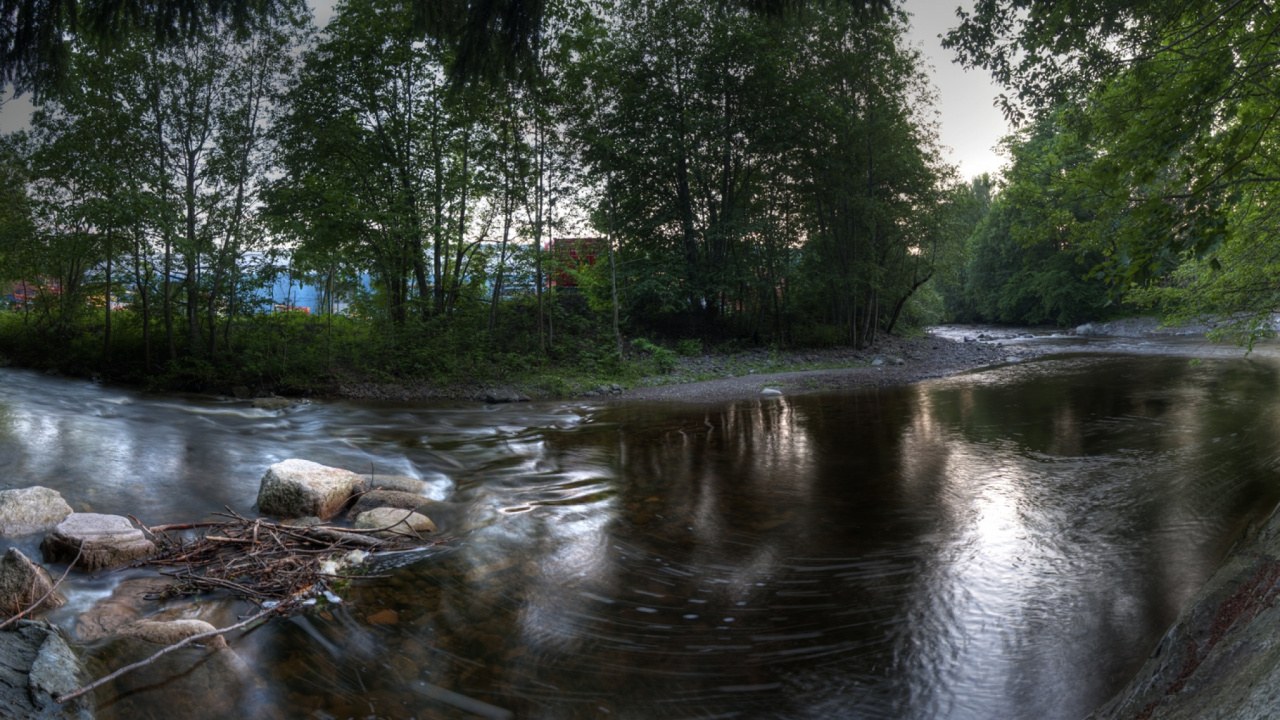 Обои отражение, дерево, природа, водоток, реки в разрешении 1280x720