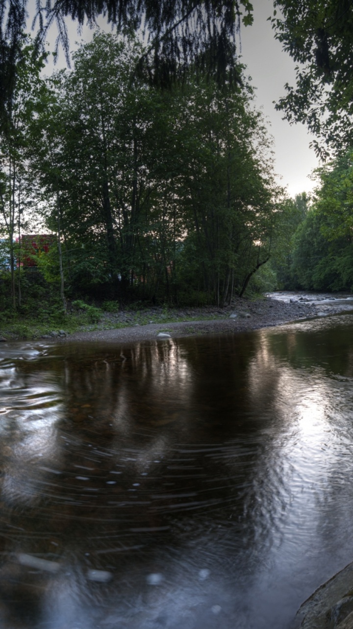 Обои отражение, дерево, природа, водоток, реки в разрешении 720x1280