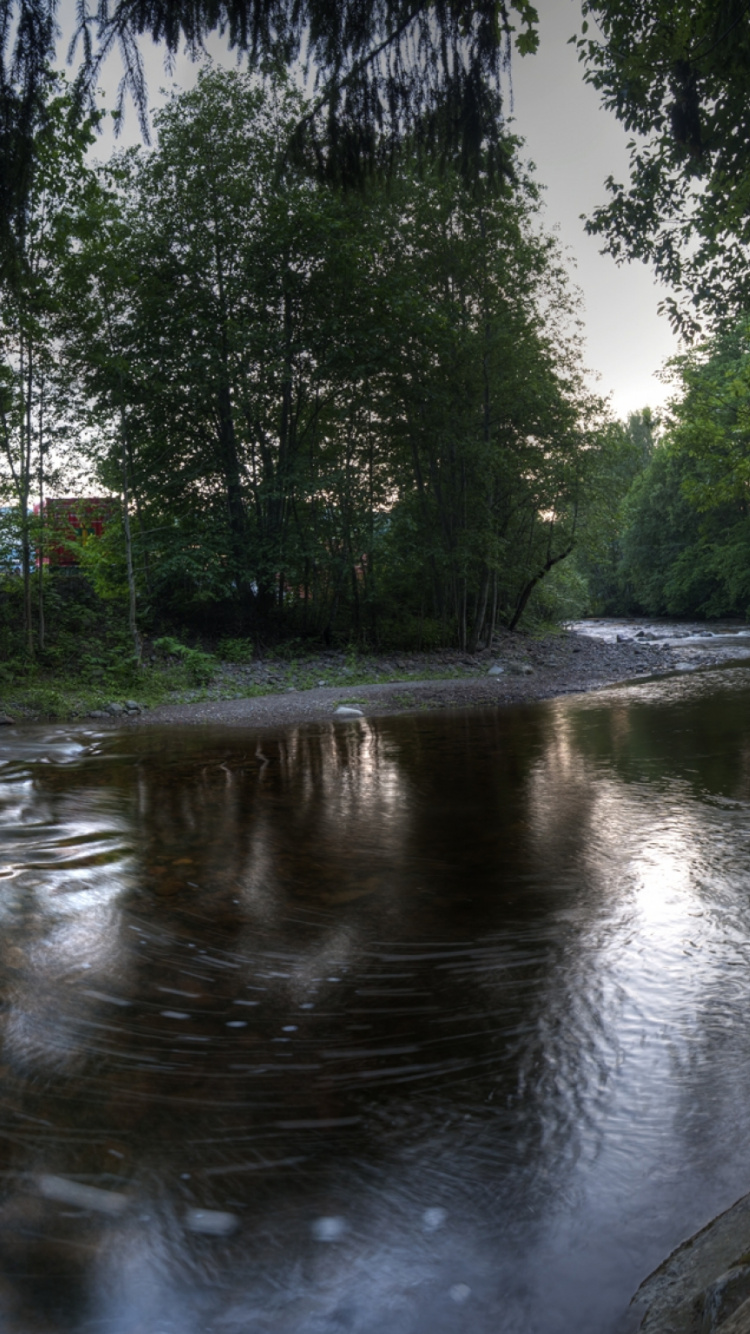 Обои отражение, дерево, природа, водоток, реки в разрешении 750x1334