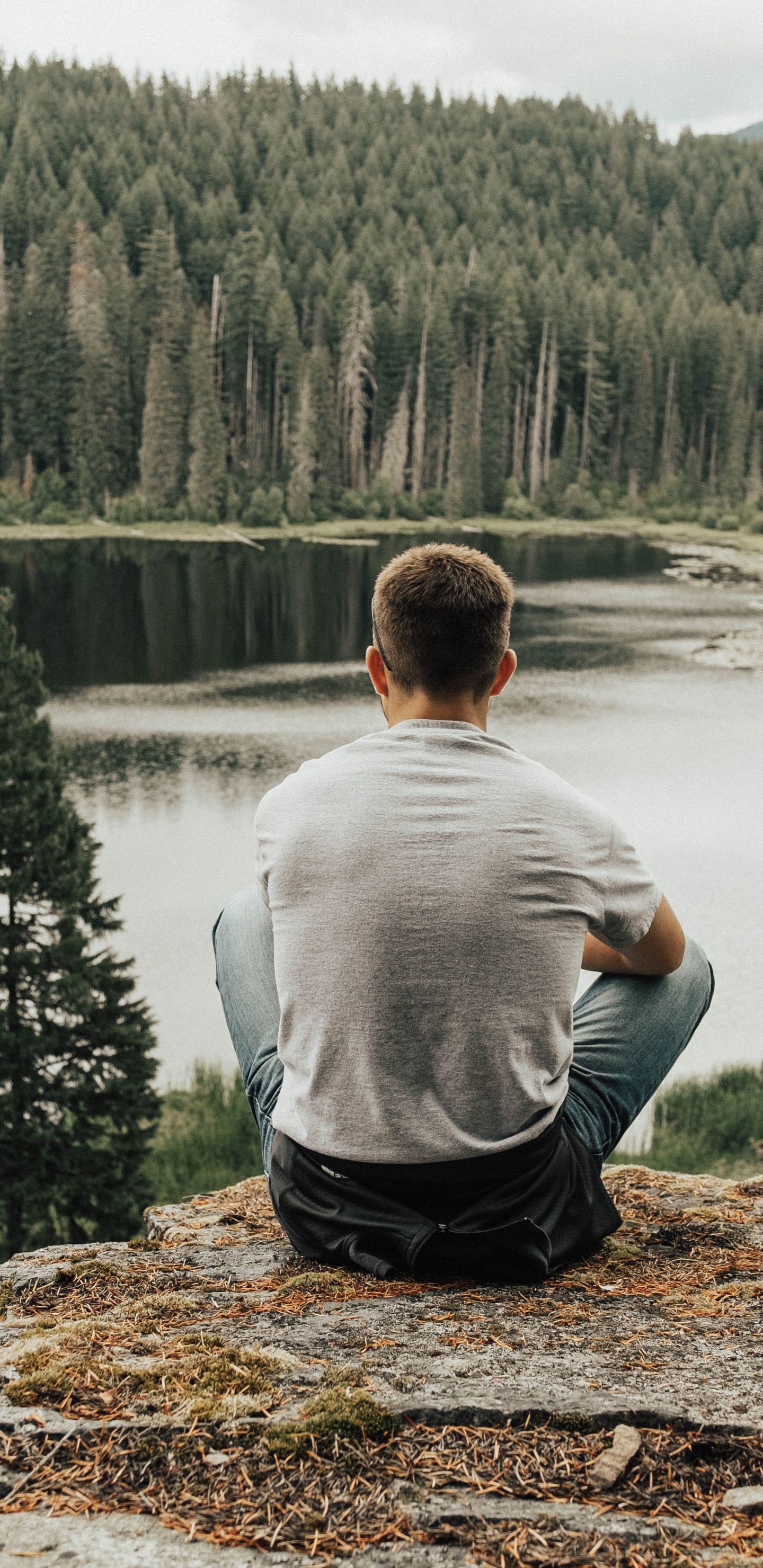 Обои дикая местность, древесные растения, окружающая среда, вода, дерево в разрешении 1440x2960