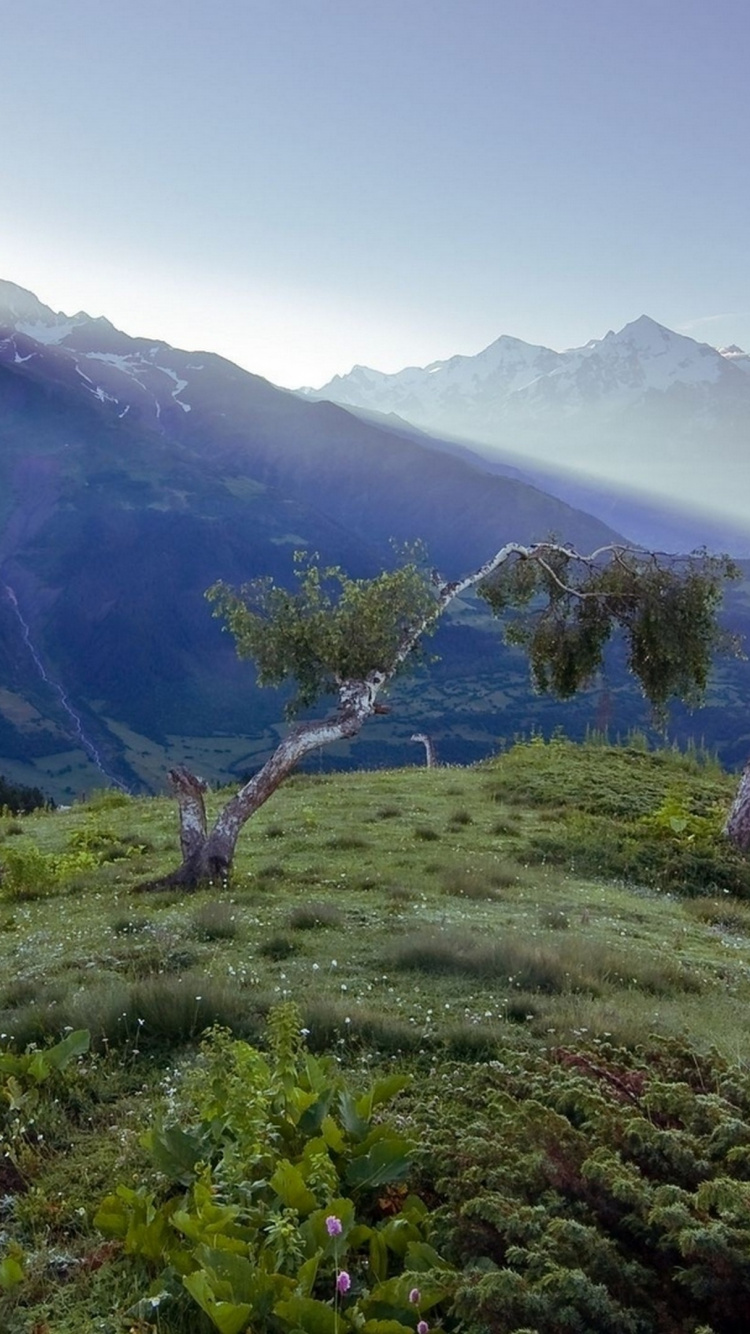 Обои горный рельеф, нагорье, гора, природа, растительность в разрешении 750x1334