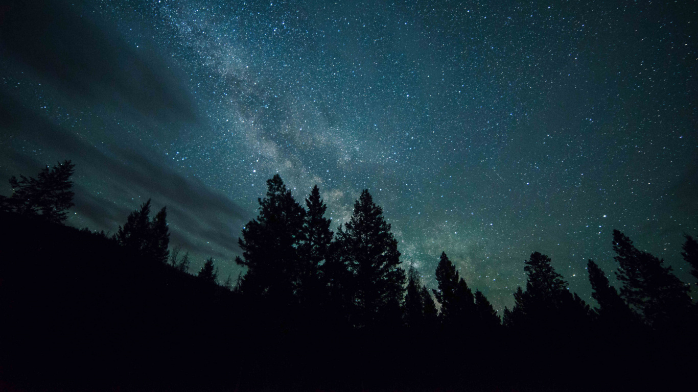 Обои природа, ночь, атмосфера, дерево, темнота в разрешении 1366x768