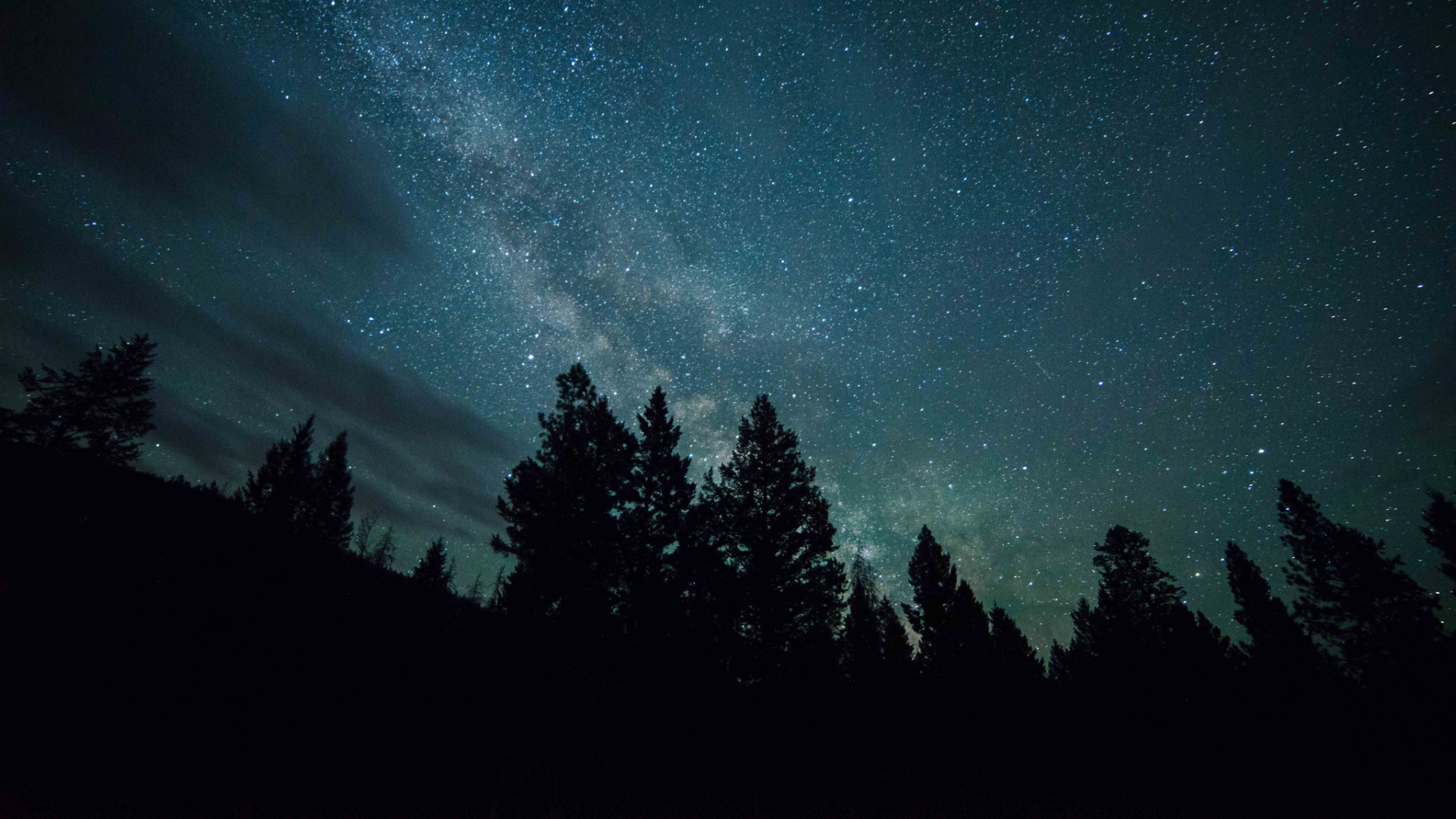 Обои природа, ночь, атмосфера, дерево, темнота в разрешении 1920x1080