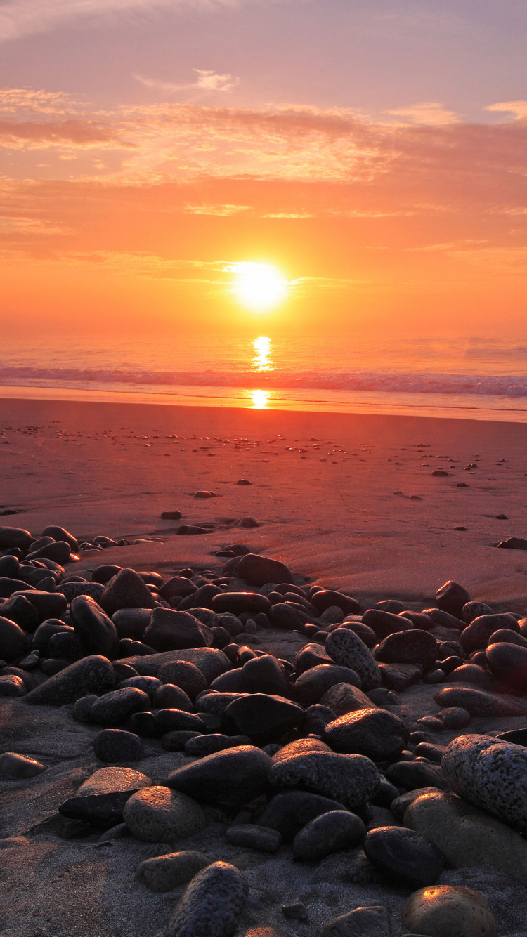 Обои пляж, закат, горизонт, море, берег в разрешении 750x1334