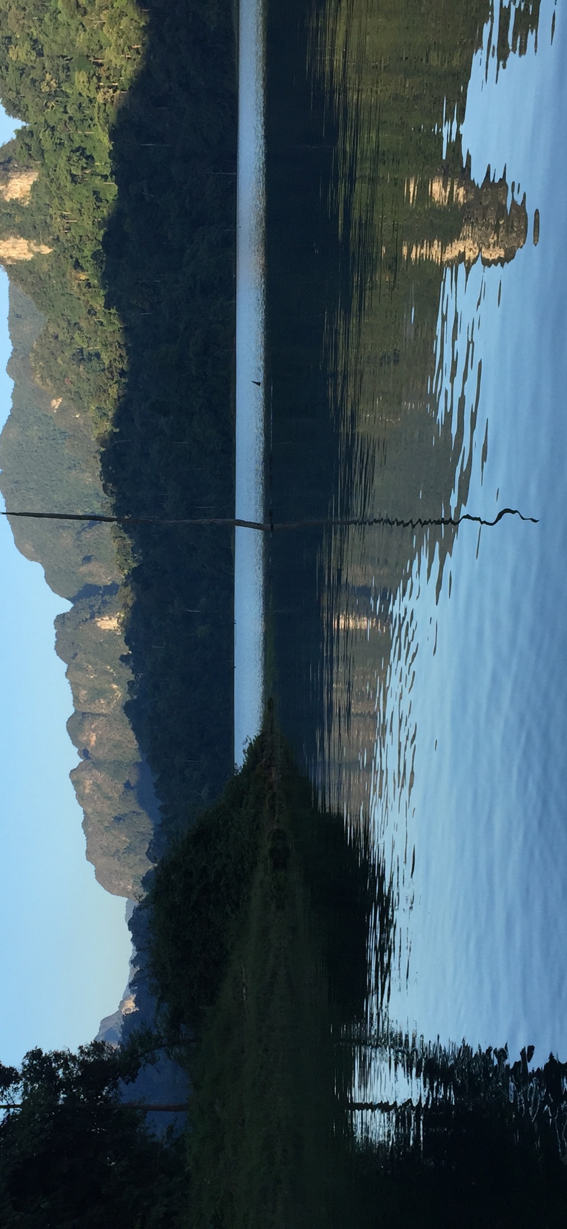 Обои вода, растительность, лазурный, солнечный свет, спокойный в разрешении 1125x2436