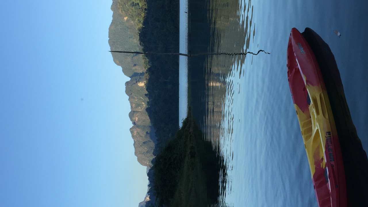 Обои вода, растительность, лазурный, солнечный свет, спокойный в разрешении 1280x720