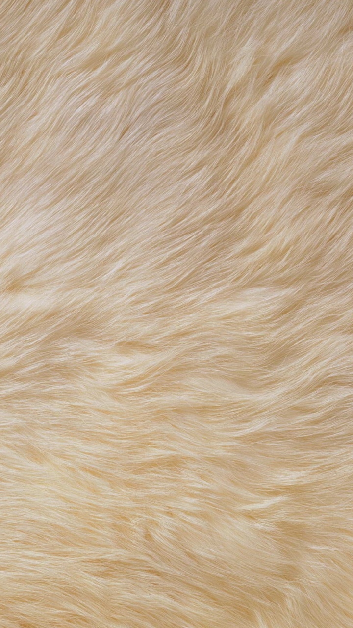 Обои мех, цвет беж, материал, текстуры, текстура в разрешении 720x1280