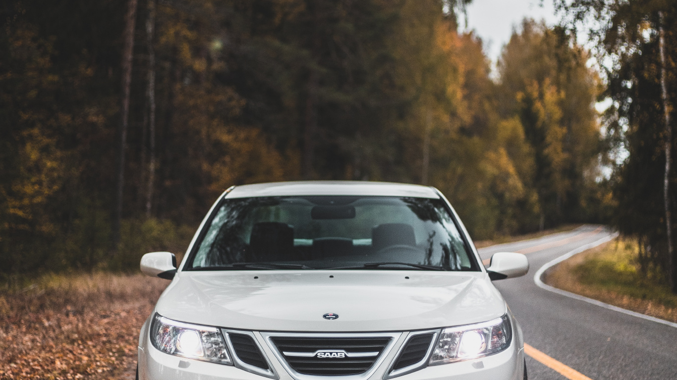 Обои автомобильное освещение, бампер, компактный автомобиль, инфраструктура, Король в разрешении 1366x768