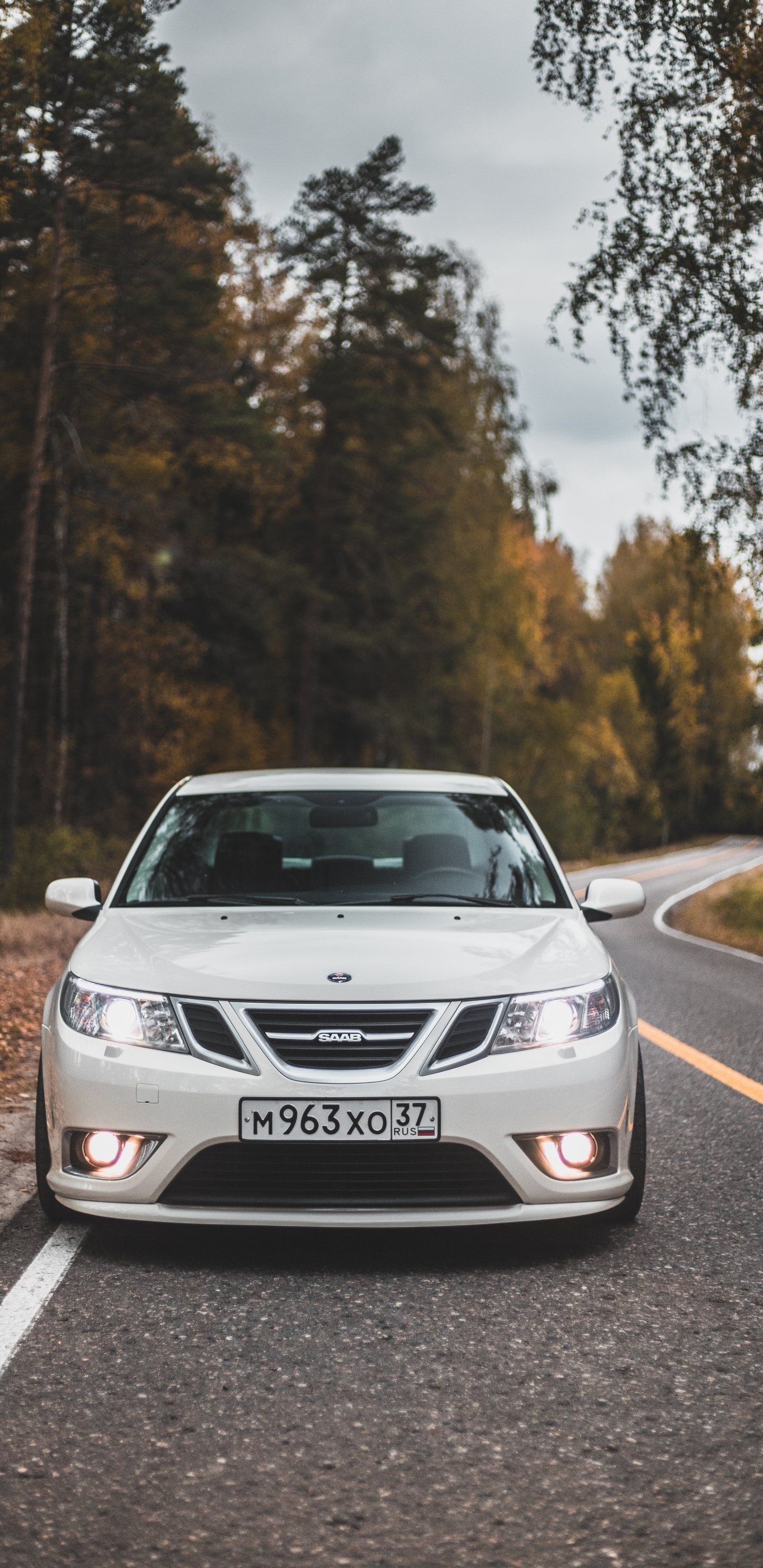 Обои автомобильное освещение, бампер, компактный автомобиль, инфраструктура, Король в разрешении 1440x2960