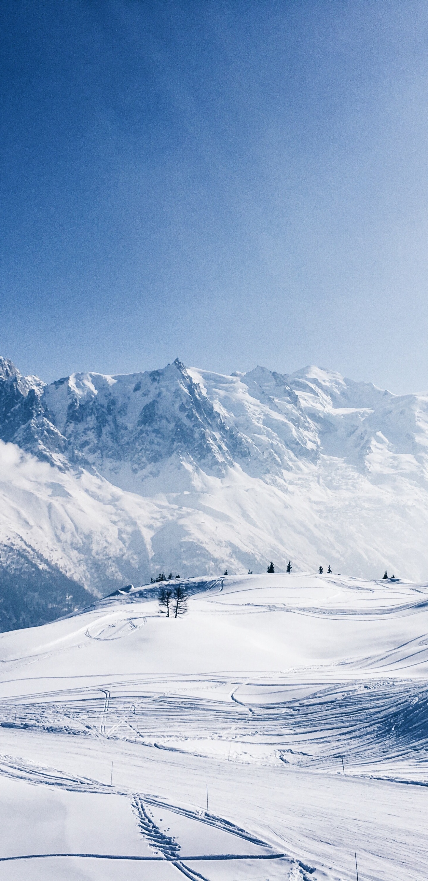 Обои снег, гора, Порошок Горы, Монблан, лыжи в разрешении 1440x2960