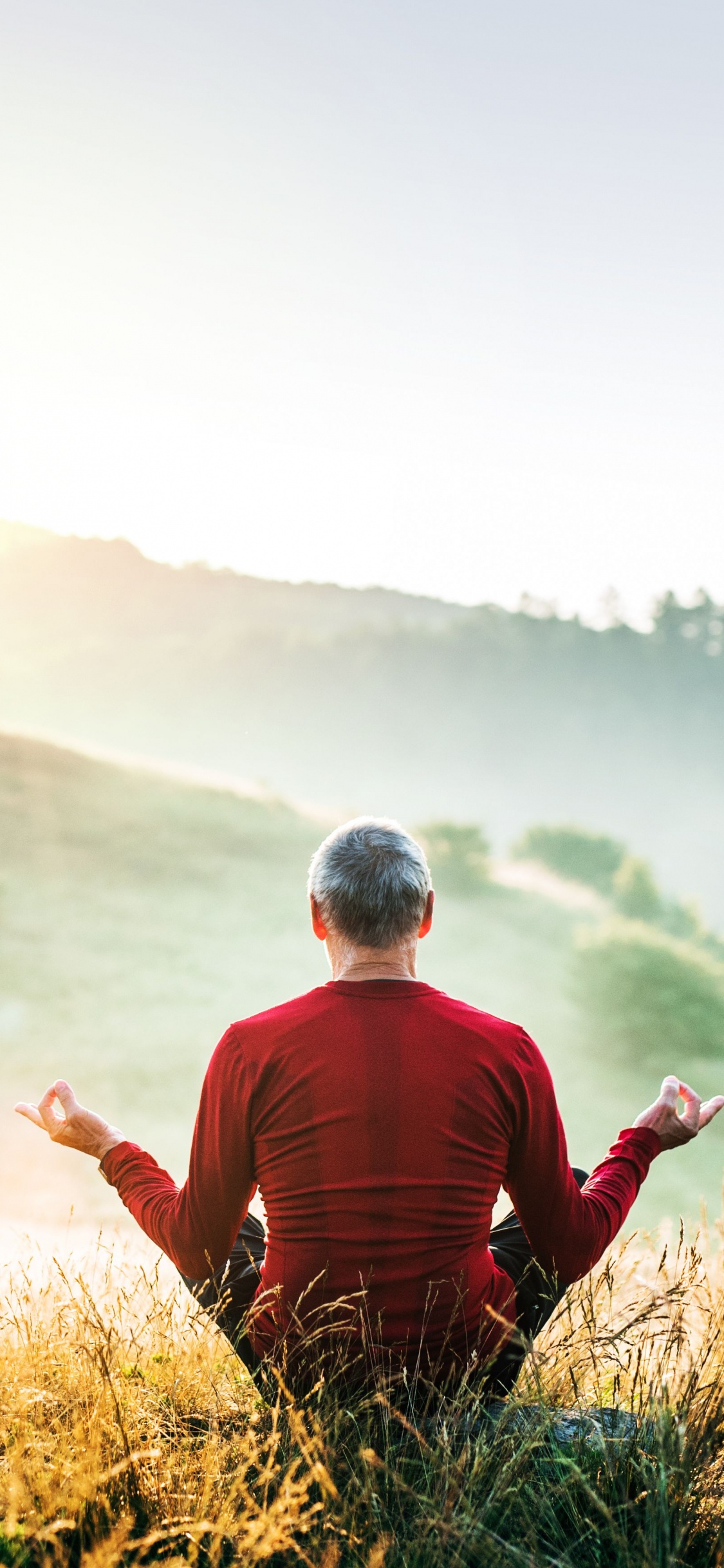 Обои мысль, Люди в природе, природа, сенокосное угодье, гора в разрешении 1125x2436