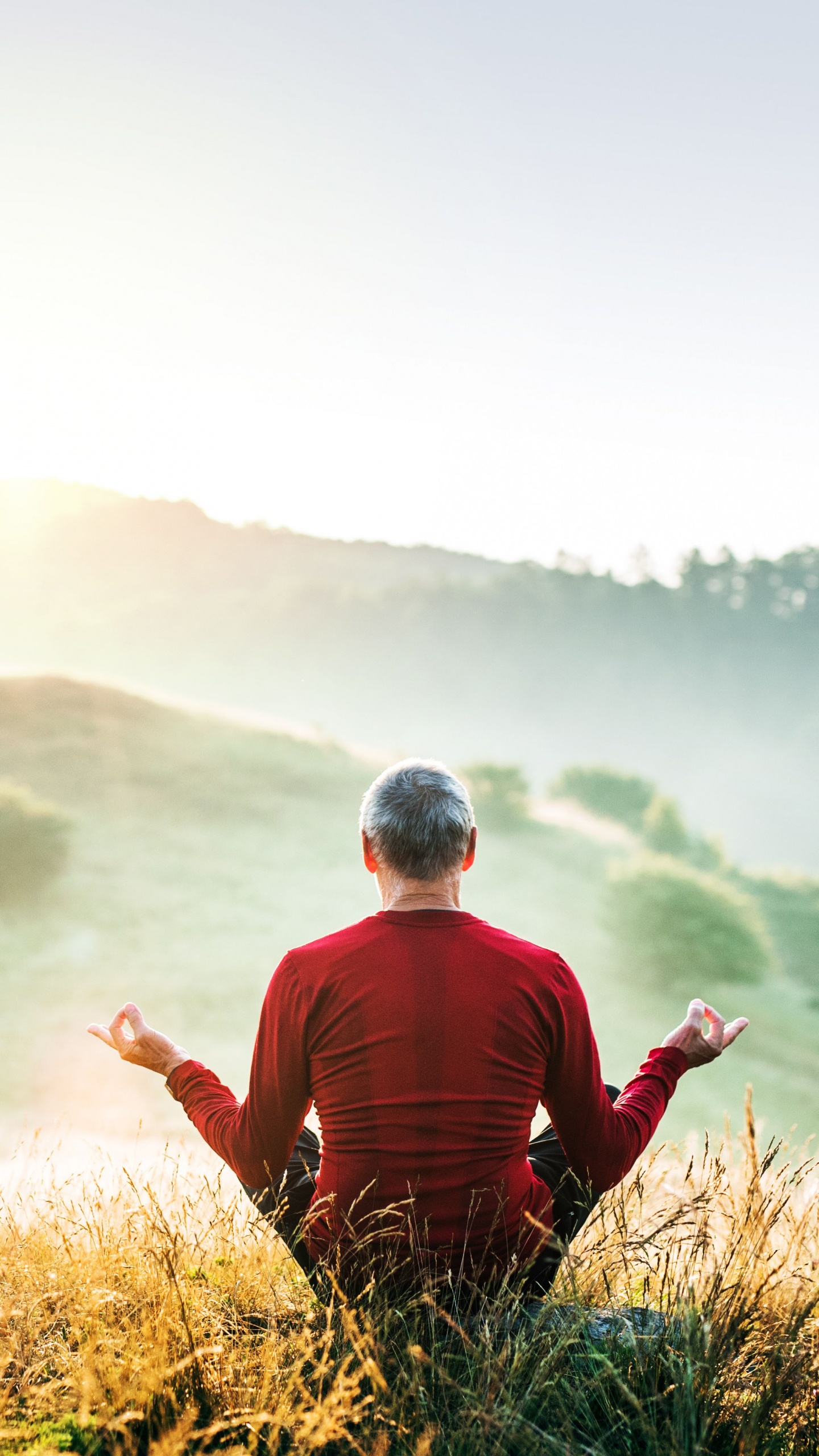 Обои мысль, Люди в природе, природа, сенокосное угодье, гора в разрешении 1440x2560