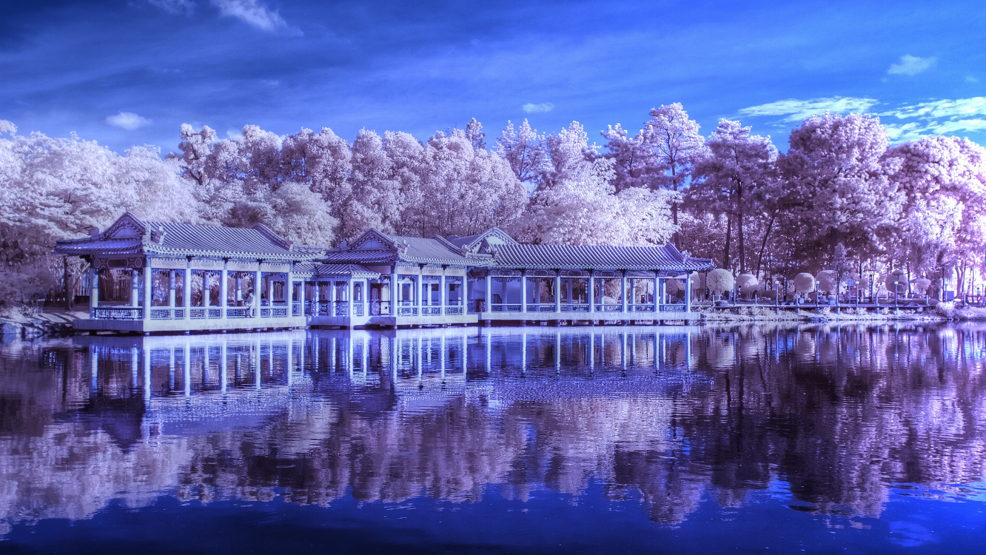 Обои сад, китайский сад, отражение, вода, синий в разрешении 1920x1080