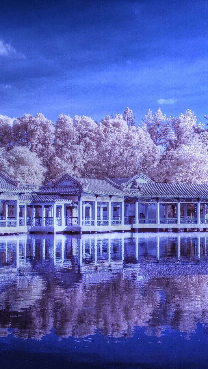 Обои сад, китайский сад, отражение, вода, синий в разрешении 720x1280