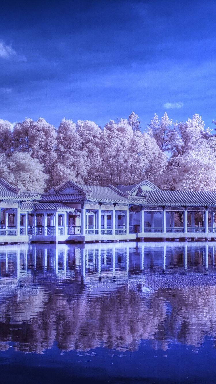 Обои сад, китайский сад, отражение, вода, синий в разрешении 750x1334