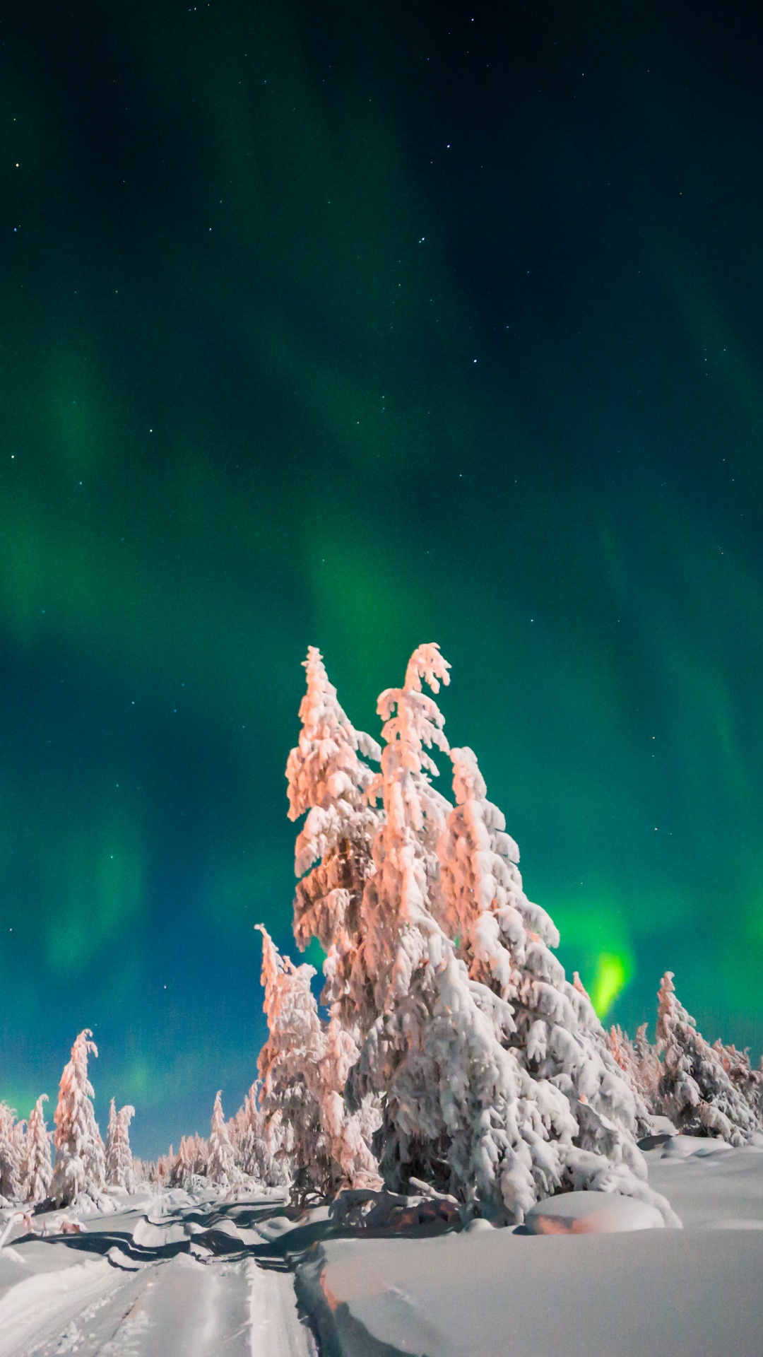 Обои Аврора, зима, атмосфера, снег, северное сияние зимой в разрешении 1080x1920