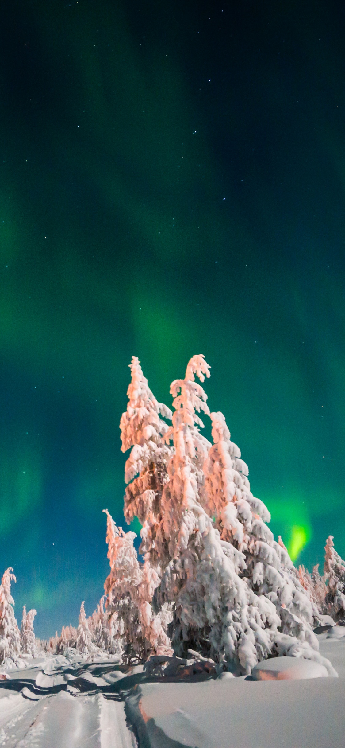 Обои Аврора, зима, атмосфера, снег, северное сияние зимой в разрешении 1125x2436