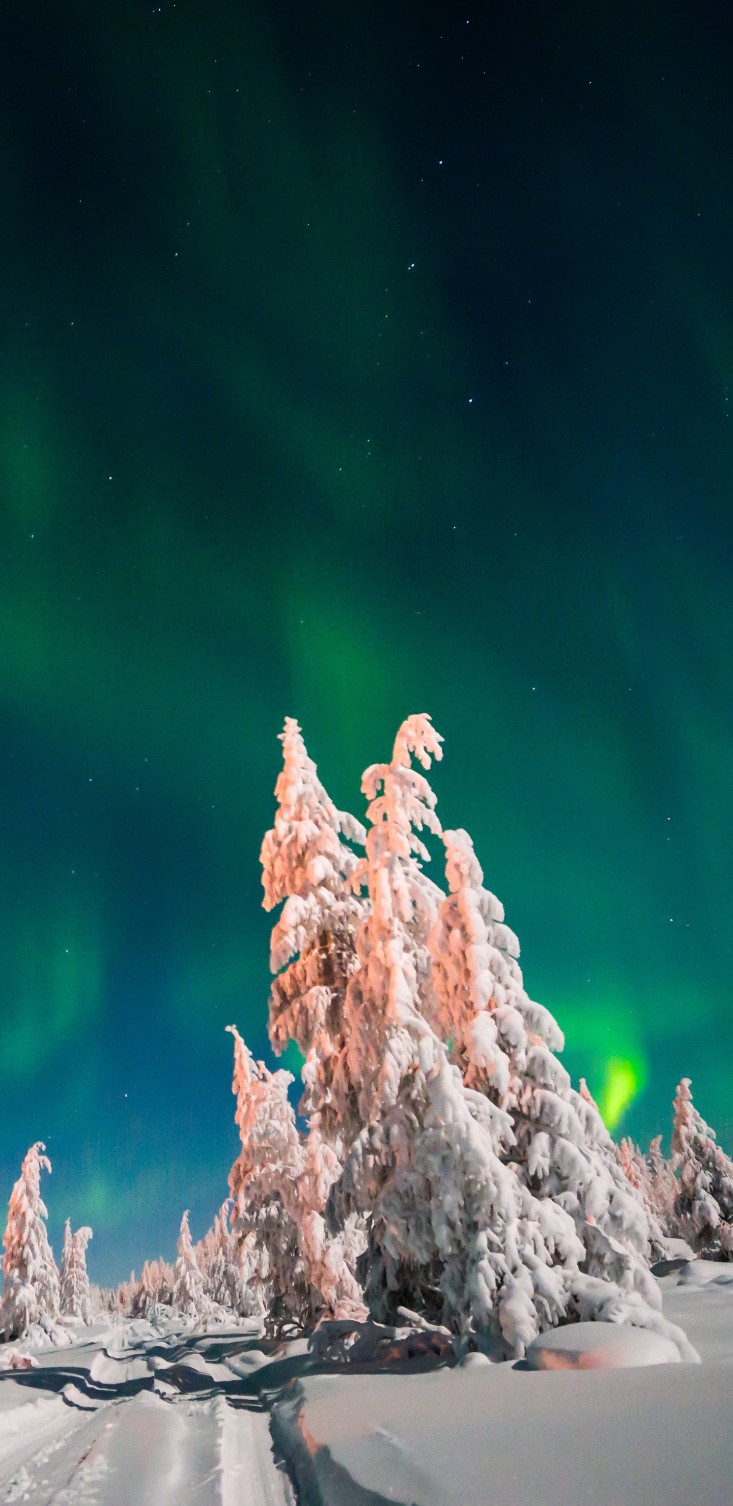 Обои Аврора, зима, атмосфера, снег, северное сияние зимой в разрешении 1440x2960