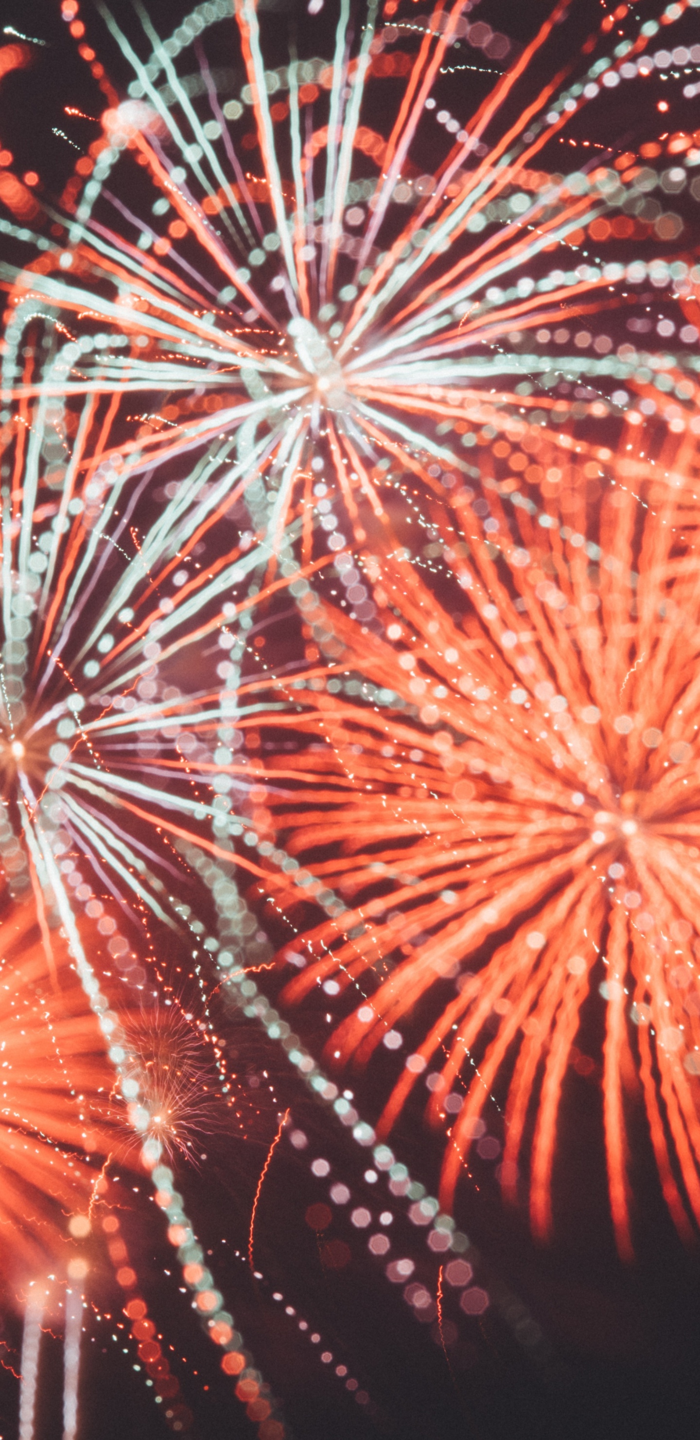 Обои салют, День независимости, день нового года, природа, красный цвет в разрешении 1440x2960