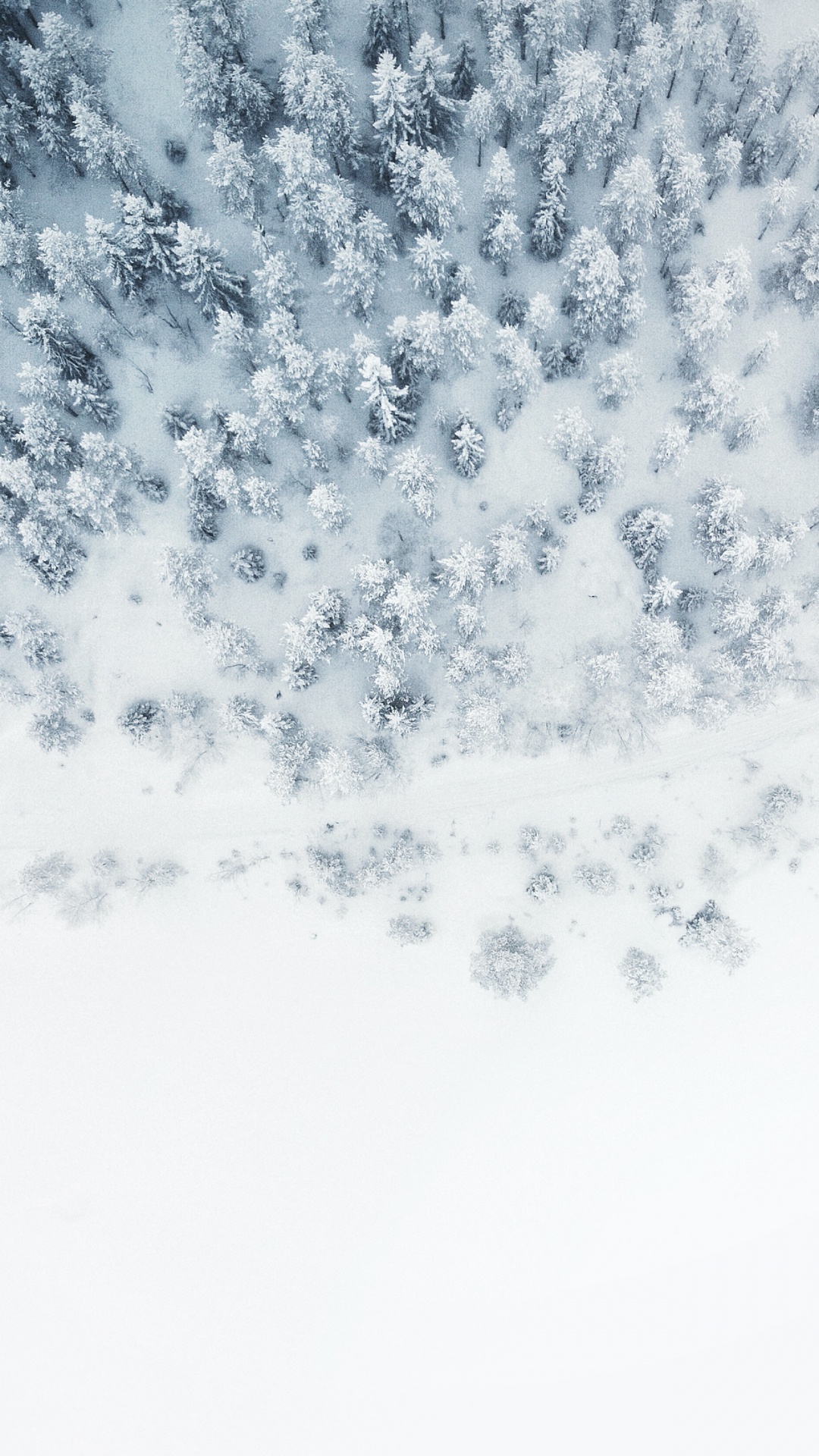 Обои Заметьте свою книгу следов, замести следы, взвод роман, четыре ветра, мягкая обложка в разрешении 1080x1920