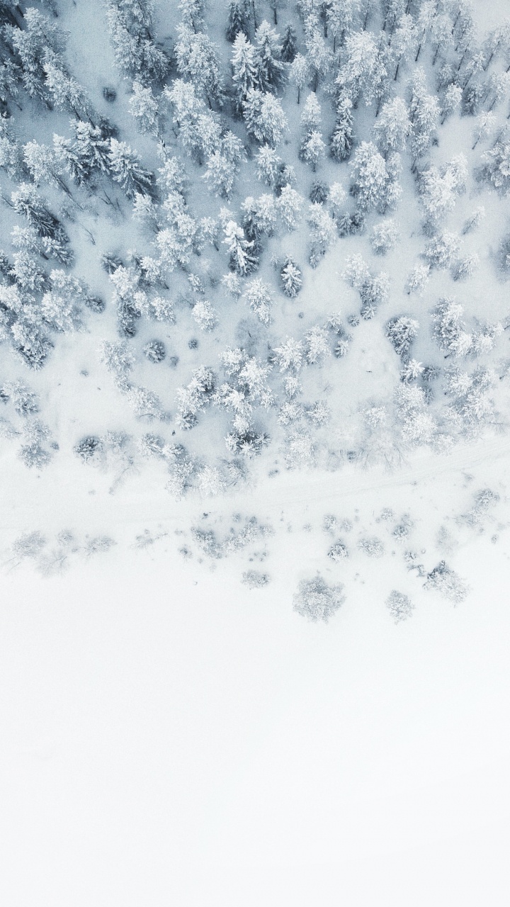 Обои Заметьте свою книгу следов, замести следы, взвод роман, четыре ветра, мягкая обложка в разрешении 720x1280