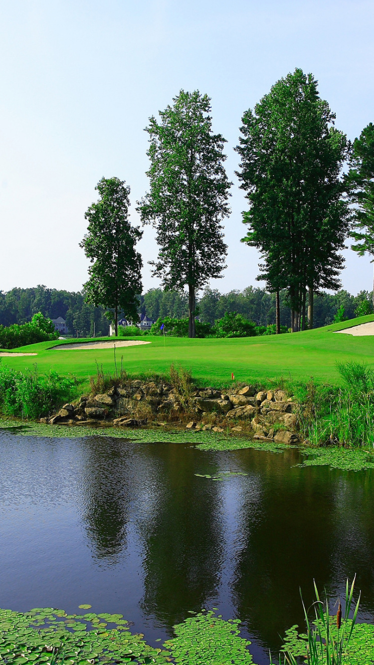 Обои природа, слайд-шоу, вода, отражение, гидроресурсы в разрешении 750x1334