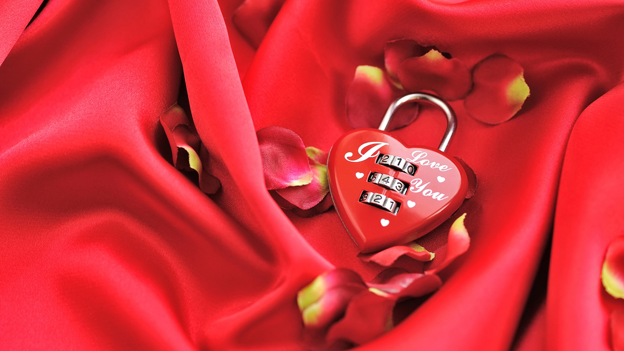 Обои День Святого Валентина, красный цвет, цветок, лепесток, крупный план в разрешении 1280x720