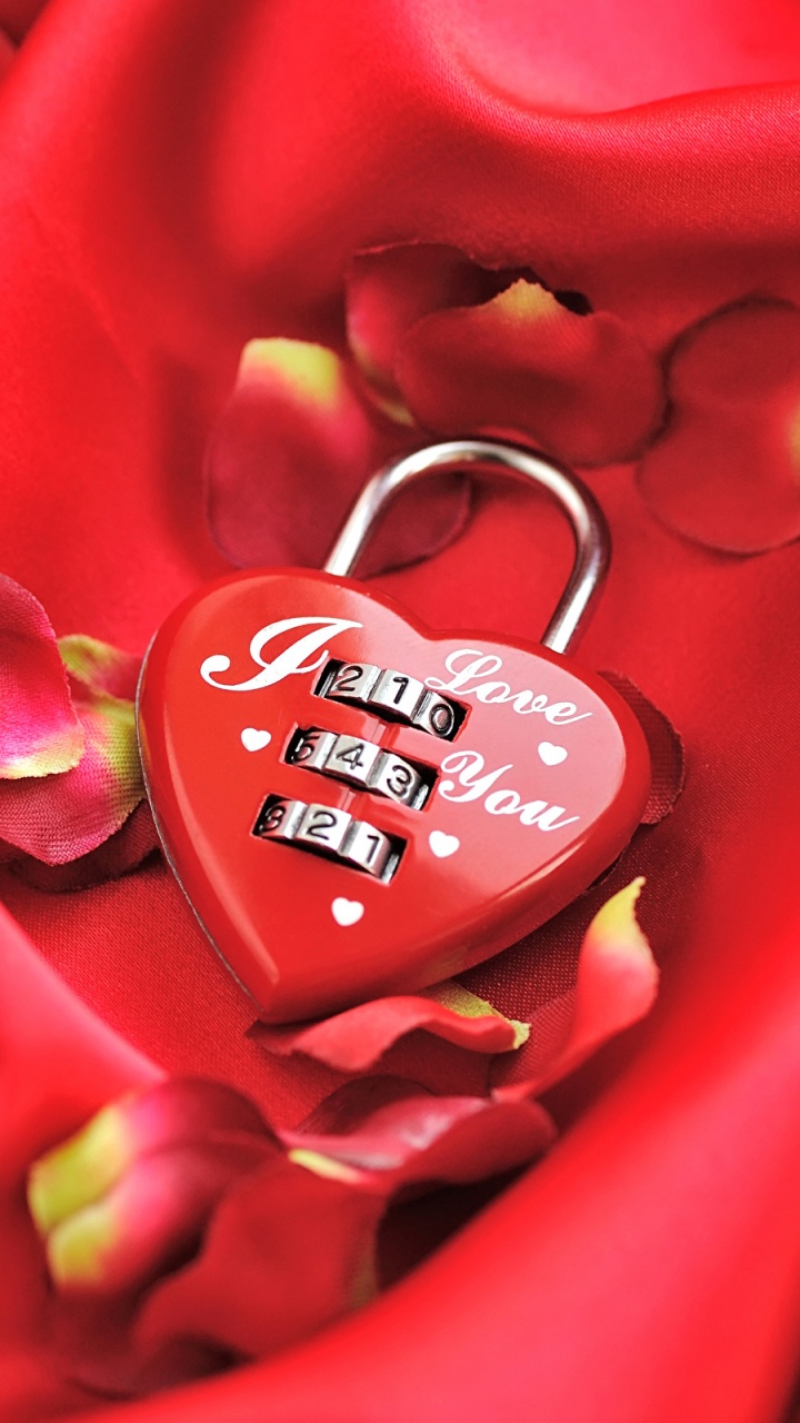 Обои День Святого Валентина, красный цвет, цветок, лепесток, крупный план в разрешении 720x1280