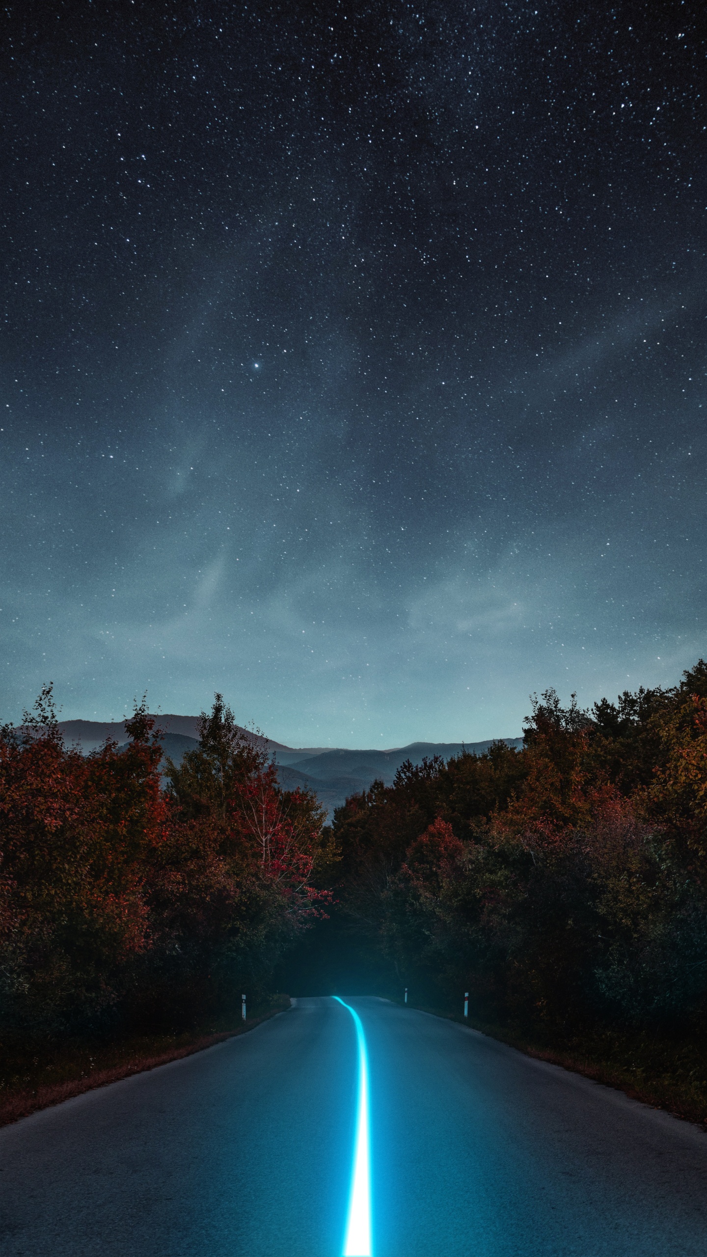 Обои земля, атмосфера, свет, зеленый, природа в разрешении 1440x2560