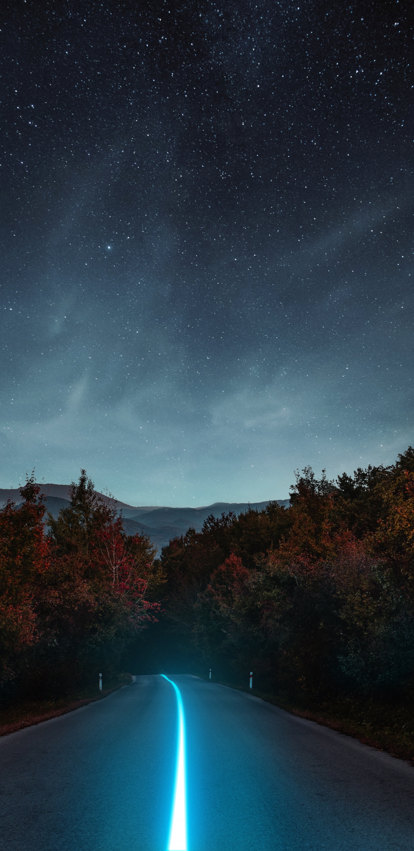 Обои земля, атмосфера, свет, зеленый, природа в разрешении 1440x2960