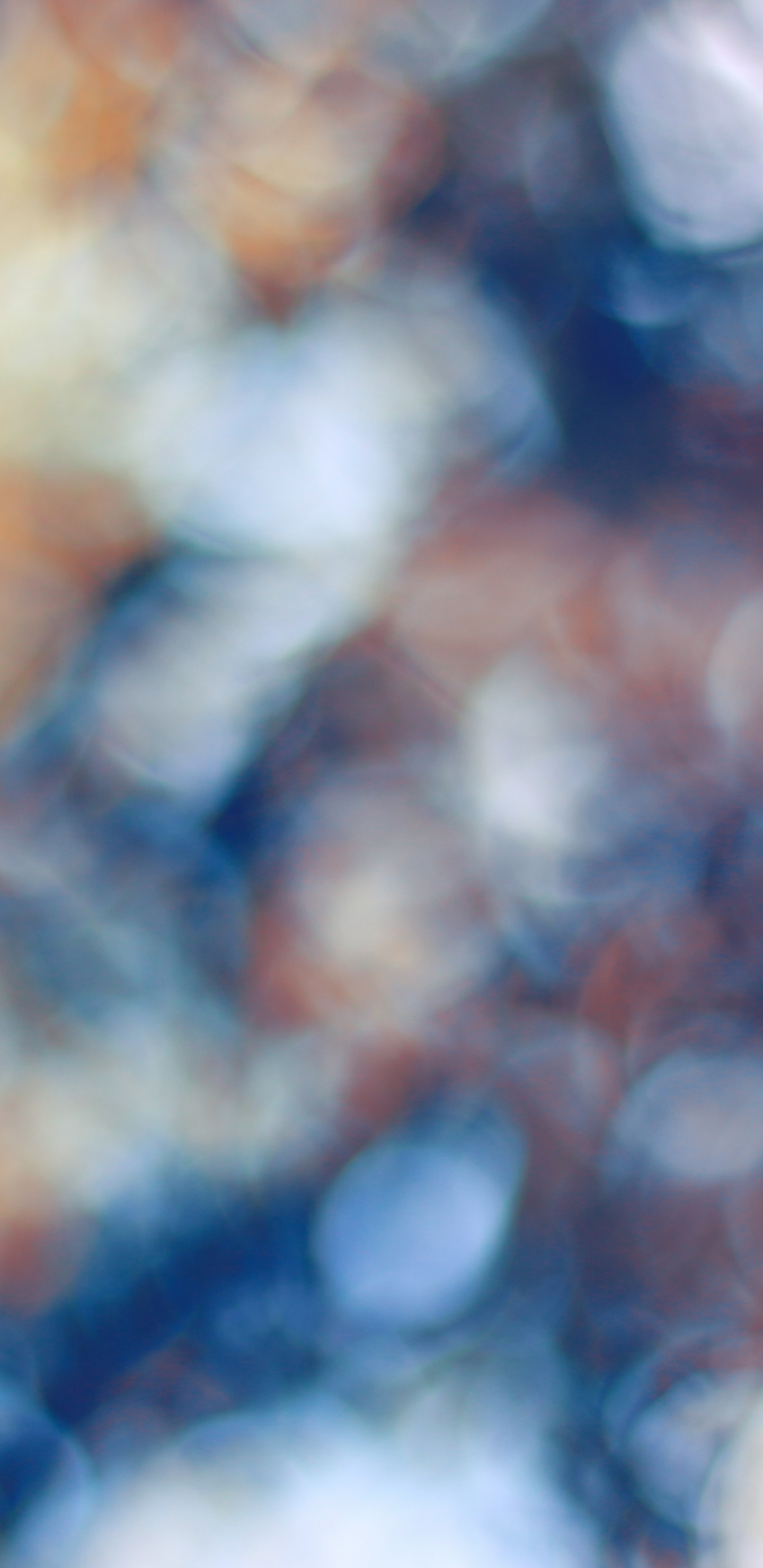 Обои синий, крупный план, смартфон, macbook, весна в разрешении 1440x2960