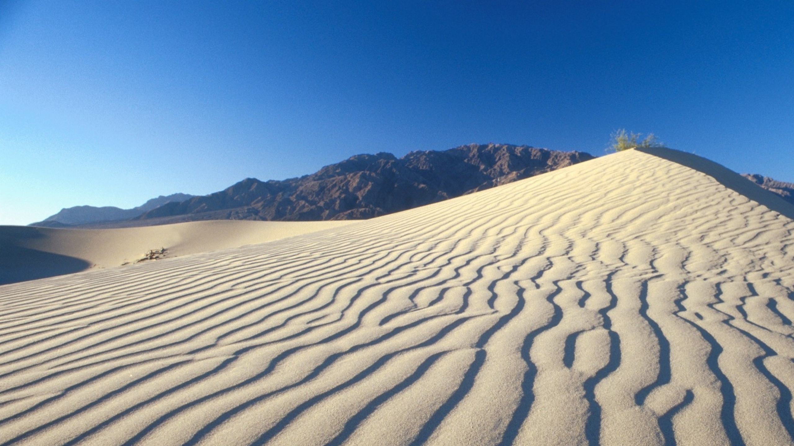 Обои эрг, поющий песок, пустыня, Дюна, песок в разрешении 2560x1440