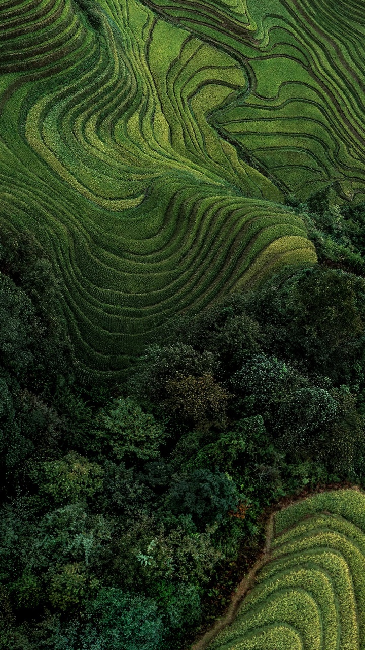 Обои Xiaomi, MIUI 12, redmi k20, андроид, xiaomi pocophone f1 в разрешении 720x1280