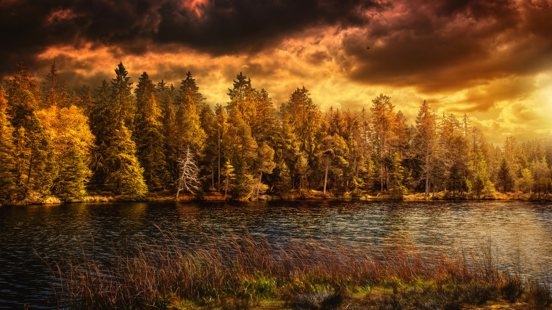 Обои осень, природа, отражение, вода, озеро в разрешении 1920x1080