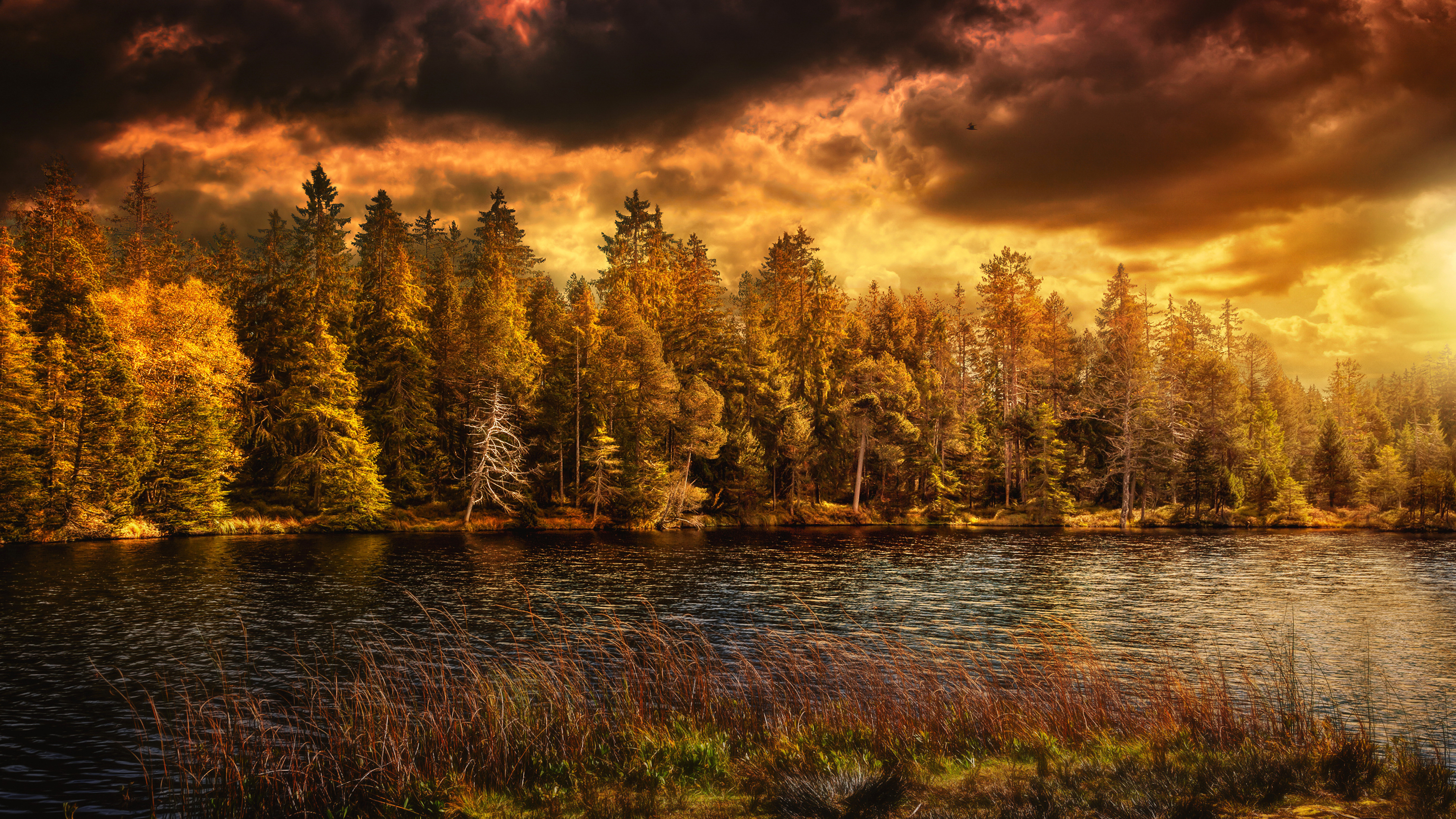 Обои осень, природа, отражение, вода, озеро в разрешении 3840x2160