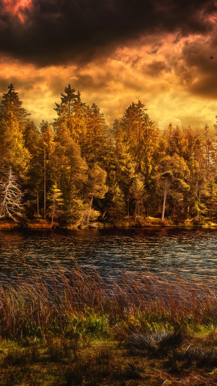 Обои осень, природа, отражение, вода, озеро в разрешении 720x1280