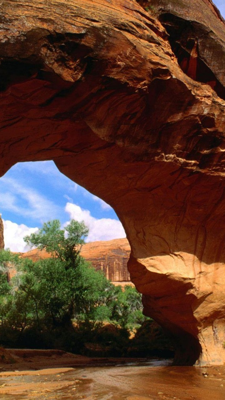 Обои естественная арка, формирование, арка, рок, геология в разрешении 720x1280