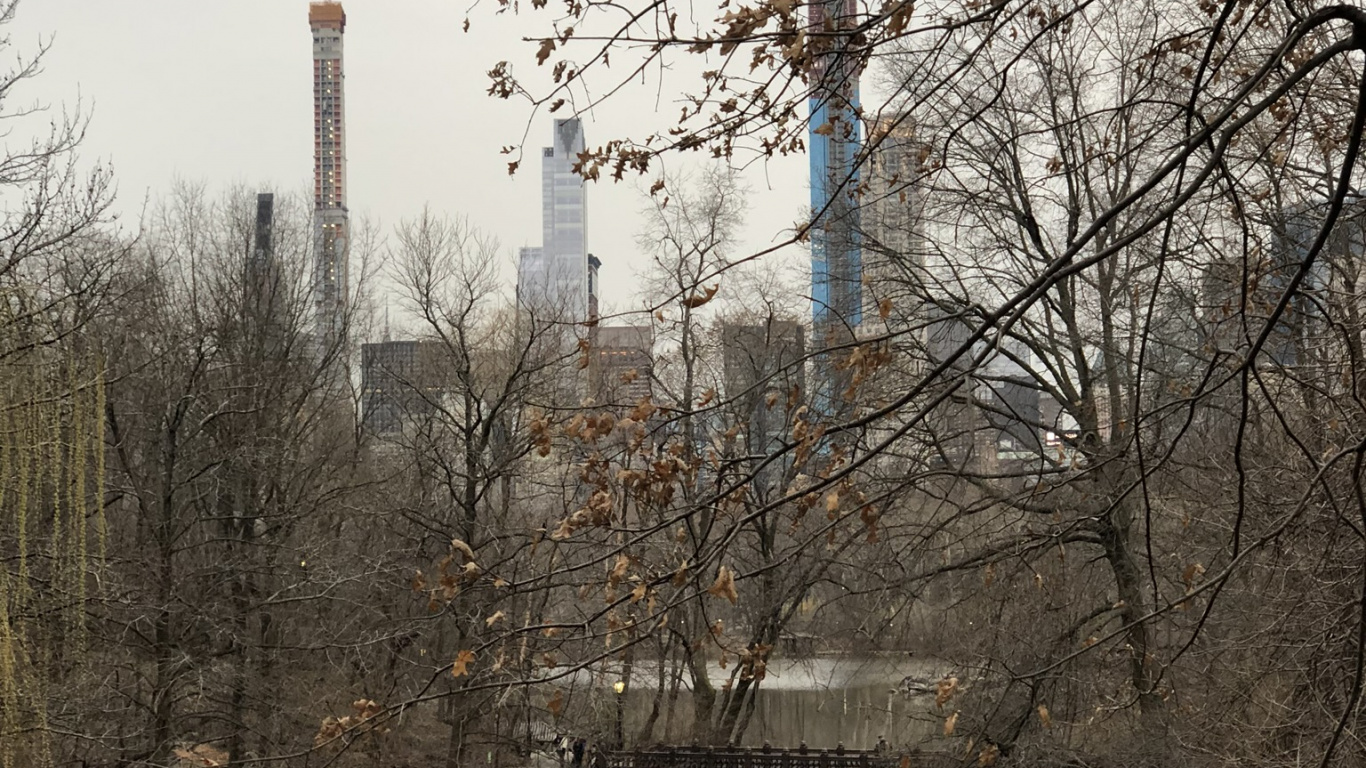 Обои Центральный парк, вода, наука, биология, ветвь в разрешении 1366x768