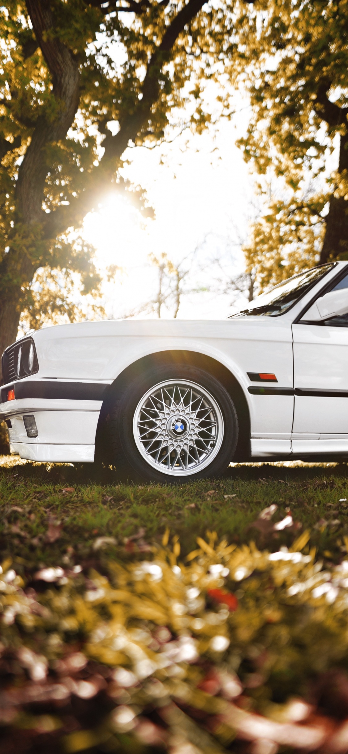 Обои колесо, дерево, обод, Литые диски, спица в разрешении 1125x2436