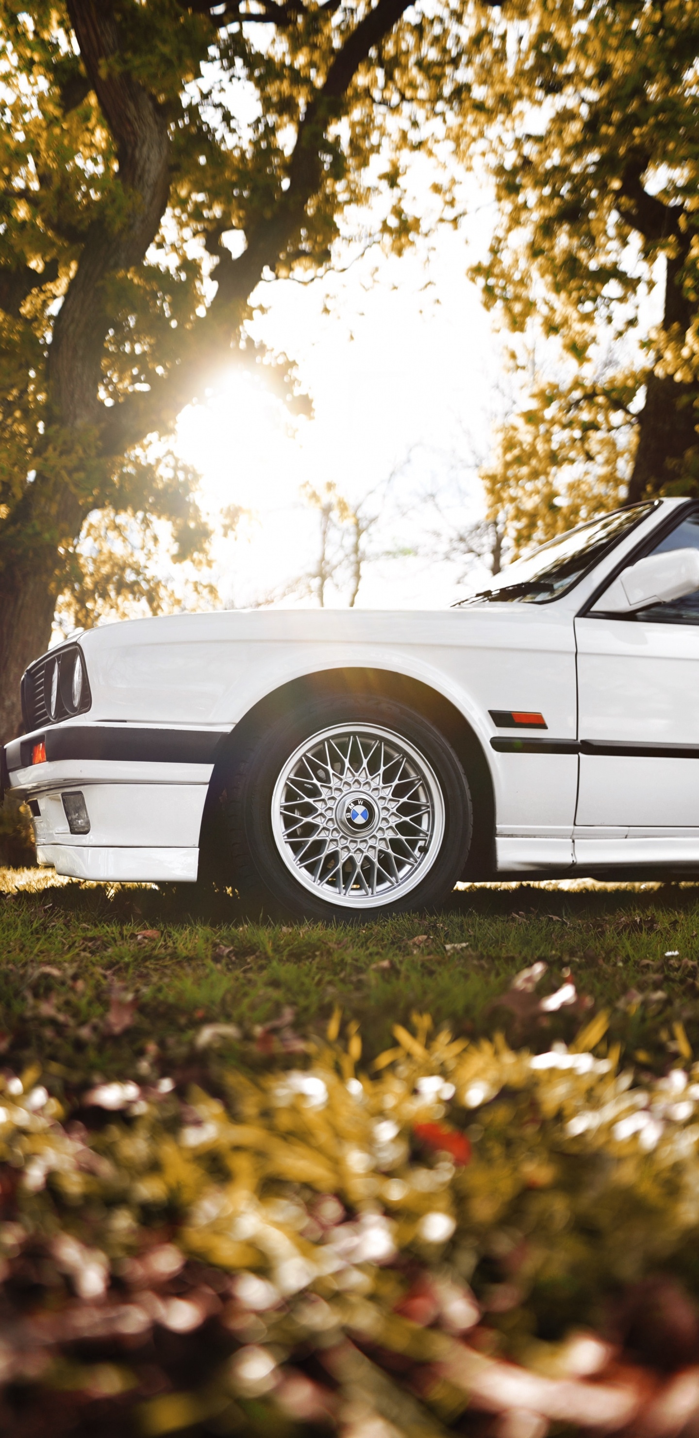 Обои колесо, дерево, обод, Литые диски, спица в разрешении 1440x2960